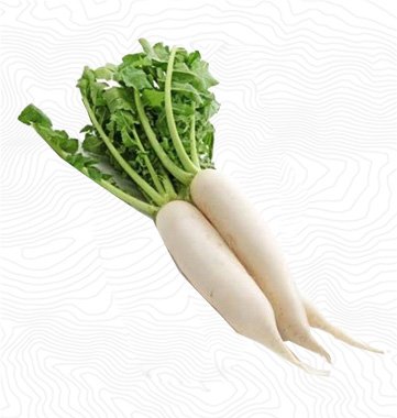 Vegetable Image